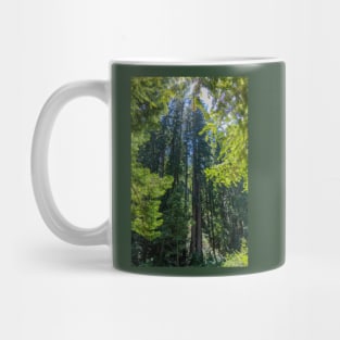 Various Shades of Green in Muir Woods National Monument Mug